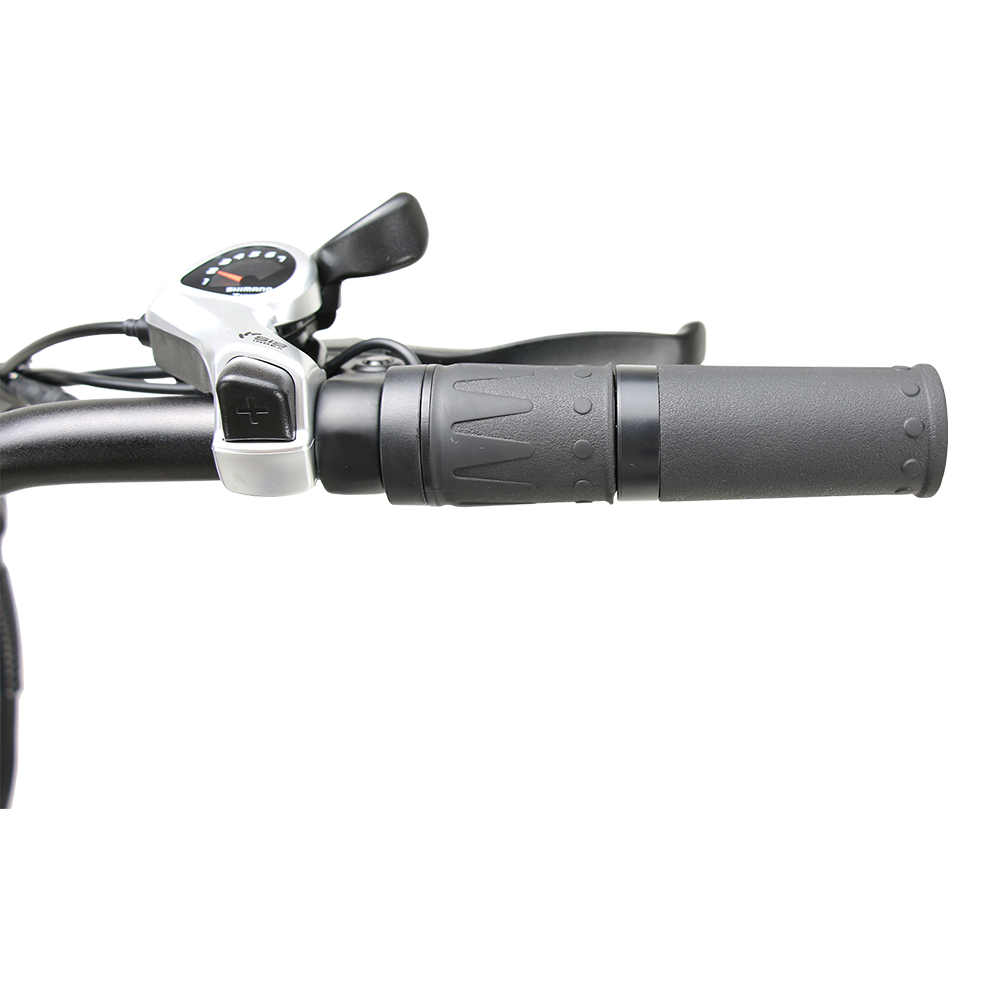 750 Watt Foldable Electric Bike - Patriot