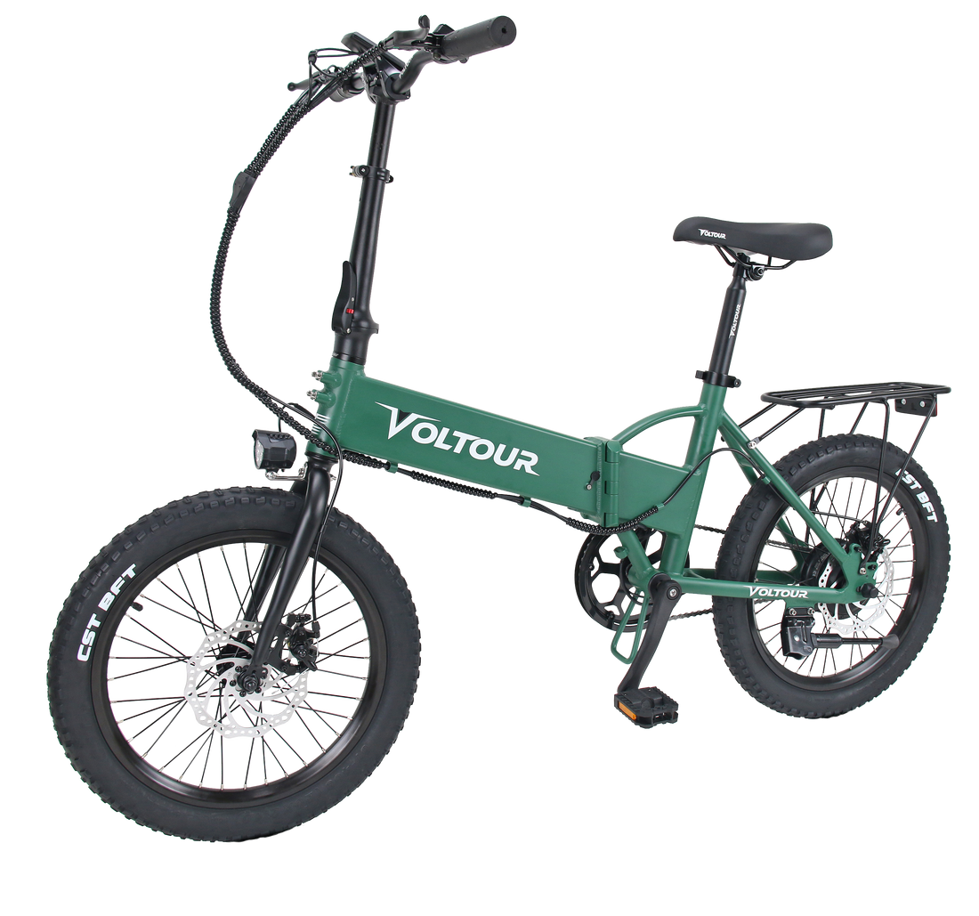 Foldable Electric Bike with Step Over Frame 300 Watt Motor